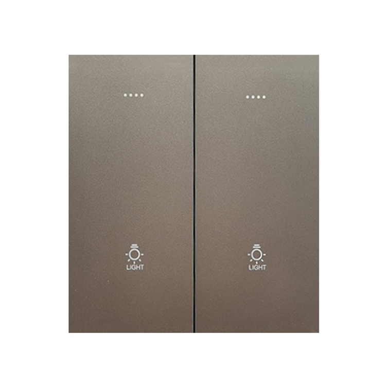 Factory Supply 2 Gang Wifi Light Switches Multi-Function Smart Touch Zigbee Wall Switch With Google Alexa