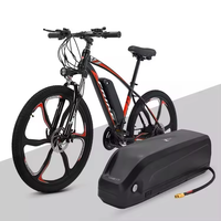 Batterie de vélo électrique Hailong, prix usine, haute capacité, 36V 48V, moteur 1000W, longue autonomie, lithium 18650, 30A, USB, E-bike