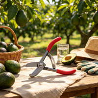 Avocado snoeigereedschap, avocado snijder, snoeischaar, fruitplukgereedschap, tuinschaar voor het snoeien en plukken van boomgaarden.