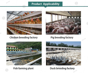 Premezcla de Alimento para Pollos con Aminoácidos de Grado Alimenticio para un Crecimiento Rápido y Aumento de Peso, Empaquetado en Bolsa - Product Image 5