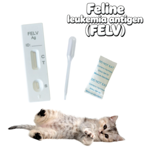 Kit de test infectieux canin EHR ANA LYM, bandelettes de test vétérinaire, instrument vétérinaire, équipement de diagnostic vétérinaire, produit très vendu - Product Image 2