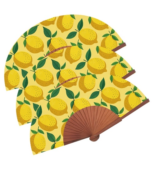 BSBH 2025 Eco-Friendly Customized 23cm Spanish Flamenco Folding Fans Natural Iron Bamboo Wood Hand Fan New Arrival Decoration