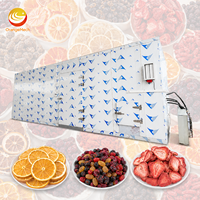 ORME Industriële Vis Fruit Groente Droogmachine Automatische Grote Capaciteit Zaad Kruidnagel Droogmachine