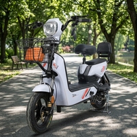 Scooter électrique à deux roues 2026, cyclomoteur, batterie au plomb-acide 48V, vélo électrique pour adultes et usage familial avec dossier passager