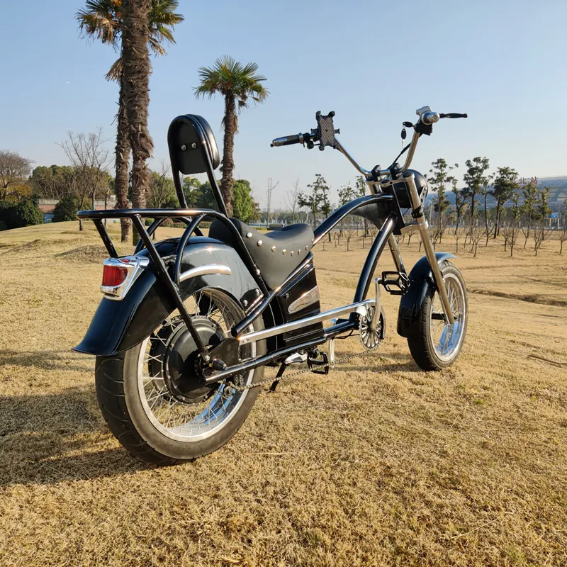 GaeaCycleEチョッパーバイクヴィンテージ電動自転車クルーザー48V15Ah20インチファットタイヤ大人用