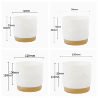 Pot de fleurs en céramique de haute qualité avec base de stockage d'eau en coton absorbant, jardinières paresseuses en plastique double couche
