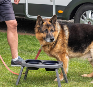 Mangkuk makanan tinggi meja makan dapat disesuaikan bingkai plastik 3 ketinggian <span class=keywords><strong>2</strong></span> silikon lipat mangkuk anjing naik - Product Image 3