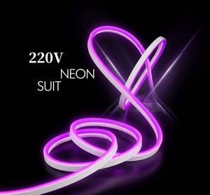 Bande LED néon flexible AC 220V, 120 LED/m, 5m, sans driver, étanche, pour la décoration de jardins, paysages, hôtels, restaurants, façades - Product Image 6