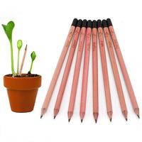 Crayon écologique créatif avec semences, carte personnalisée, papeterie avec graines