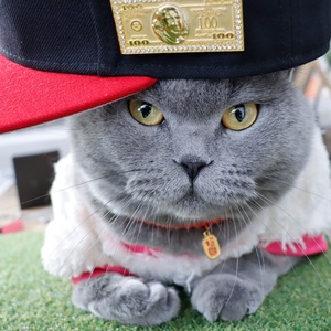 Pin Metálico de Cien Dólares para Sombreros y Ropa - Product Image 2