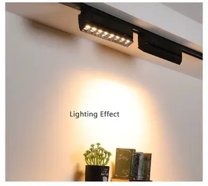 Bán buôn New 30 Wát 40 Wát Hight BRIGHT 3000LM tuyến tính ánh sáng theo dõi cho 2 dây theo dõi hệ thống ánh sáng