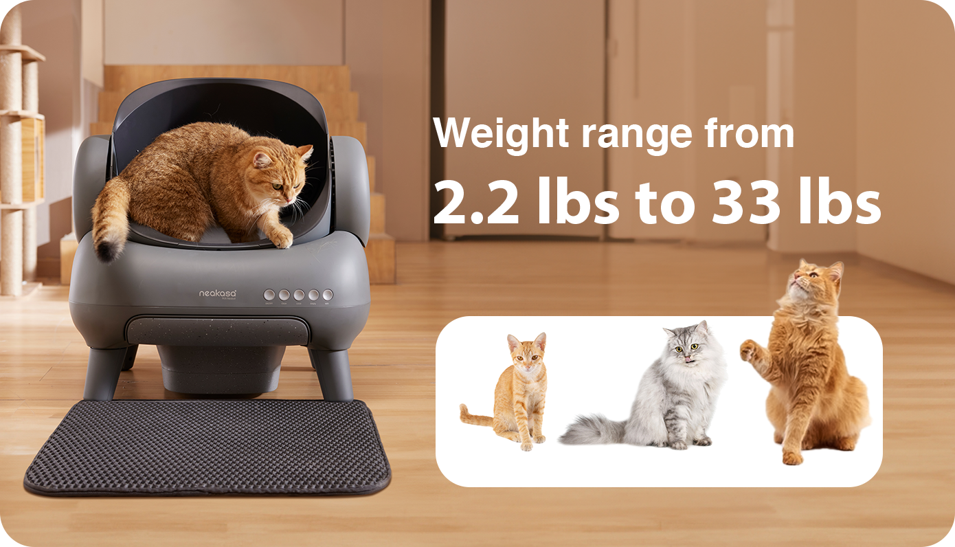 Neakasa M1 Self-cleaning Automatic Cat Litter Box With App Control