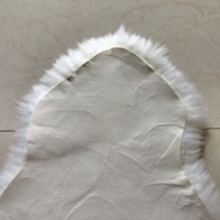 2P Real Australian Sheepskin Fur Rug Natural Long Wool High Pile Eco-Friendly Modern Home Use Grade a Quality Extra Thick