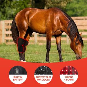 Thérapie par lumière rouge LED pour le genou du cheval, enveloppe de thérapie infrarouge portable et utilisable, 660nm/850nm, récupération des articulations et des muscles équins, 1,3 lb - Product Image 2