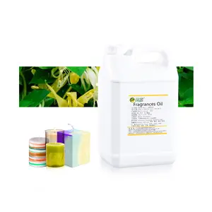 High quality fragrance oil for candle making vanilla candles perfume essential oil fragrance distributor