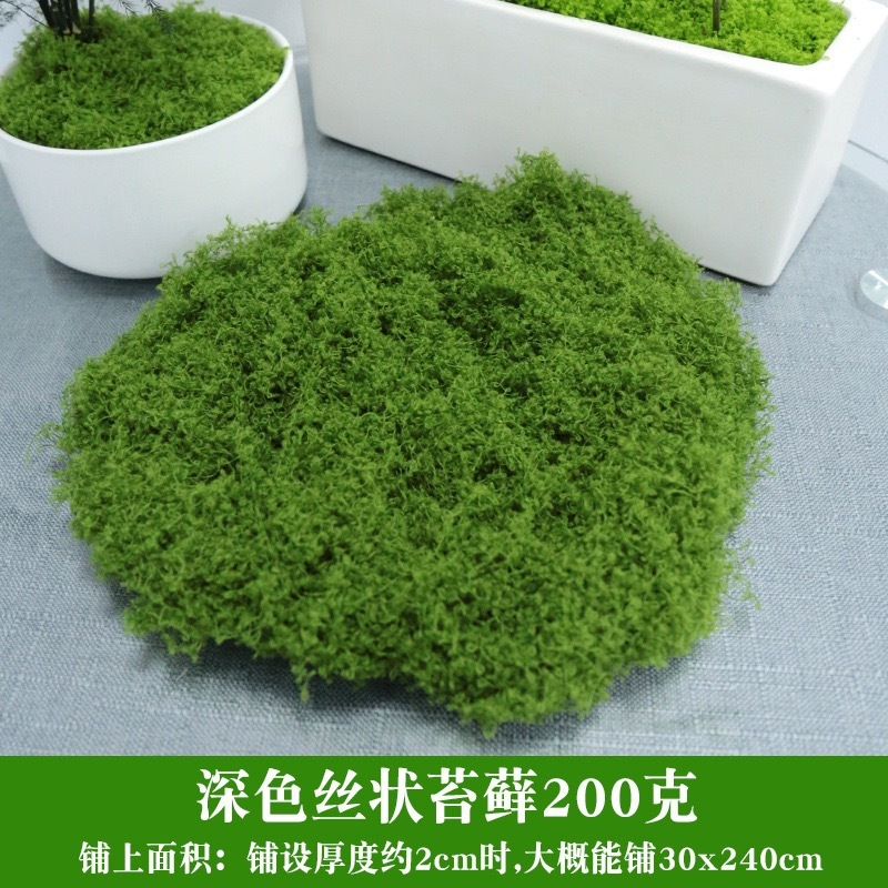 สีเขียวเข้ม 200g