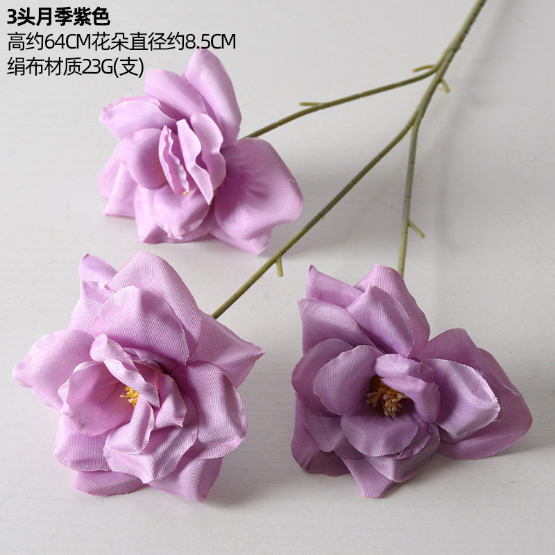 3 roses violettes