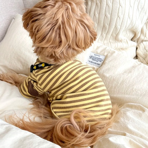 Abrigo vaquero para perros de raza pequeña-Ropa de otoño para Teddy, Bichon, Pomerania y Schnauzer - Product Image 5
