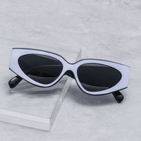 Lunettes de soleil oeil de chat à la mode pour femmes décontracté à la mode UV400 PC cadre haute qualité couleur transfrontalière correspondant nouveauté