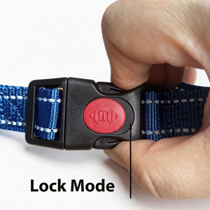 <span class=keywords><strong>Collar</strong></span> de Adiestramiento para Perros Greyhound de Doble Bucle Antiescape con Cierre de Seguridad, Sin Estrangulamiento - Product Image 5