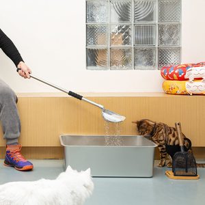 <span class=keywords><strong>Pelle</strong></span> à litière <span class=keywords><strong>pour</strong></span> chat en acier inoxydable antiadhésive avec <span class=keywords><strong>pelle</strong></span> profonde et manche long - Product Image 4