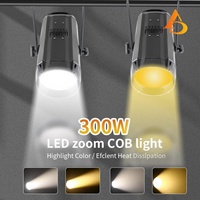 AICPOSE Nouveaux produits tendance Projecteur LED COB 300W Blanc froid et blanc chaud 2-en-1 pour scène