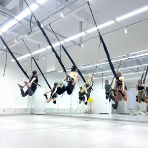 Haute qualité intérieur Yoga Studio aérien Yoga saut à l'élastique ensemble vitalité ceinture suspendue danse <span class=keywords><strong>Fitness</strong></span> assistance cordon élastique formateur - Product Image 4