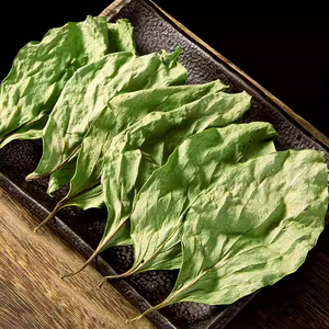 Daun Kesemek Kering Harga Pabrik Shi Zi Ye, Daun Teh Herbal Cina, Daun Kesemek Kering