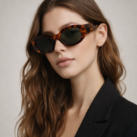 Gafas de Sol de Diseño Vintage de Moda con Logotipo Personalizado, Polarizadas, Montura Completa, Ligeras y de Alta Calidad para Unisex 2026