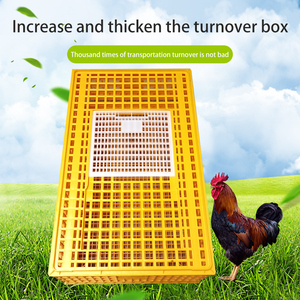 Scatola di trasporto in plastica industriale per vecchi pulcini di giorno nuova condizione gabbia della batteria per uso dell'azienda avicola - Product Image 3