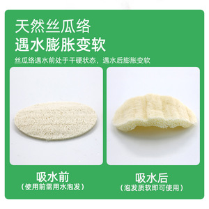 Éponge à vaisselle ovale en loofah, tampon de nettoyage de cuisine antiadhésif, multifonctionnel, forme rectangulaire, motif ellipse simple - Product Image 3