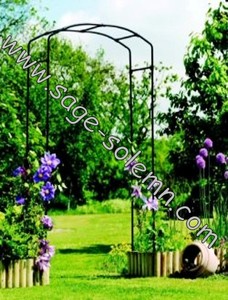 Metal <strong>Garden</strong> <strong>Arch</strong> <strong>With</strong> Single <strong>Gate</strong>/door,<strong>Garden</strong> <strong>Gate</strong> - Product Image 6