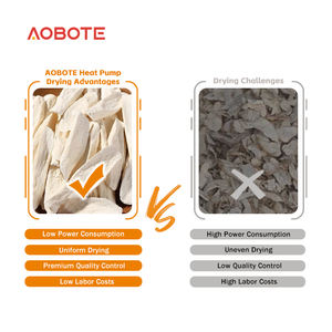 Deshidratador Industrial de Alimentos de 380V, Horno de Aire Caliente en Perfecto Estado, Gabinete de 1 Tonelada para Secar Mango, Arándanos, Harina de Pescado, Azúcar, <span class=keywords><strong>Ajo</strong></span>, Carne - Product Image 6