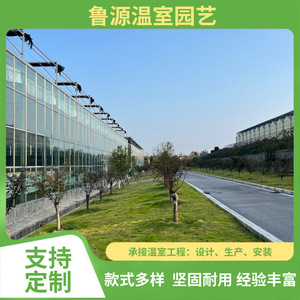 Serre agricole multi-chapelles Luyuan, grande taille, structure en acier, avec production d'énergie photovoltaïque - Product Image 3