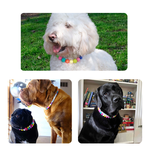 Diy कस्टम सिलिकॉन एक्सेसरीज़ पत्र पालतू हार समायोज्य pvc वाटरप्रूफ एंटी-लॉस बीड कुत्ते के नाम के साथ कुत्ते कॉलर - Product Image 3