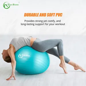 Zhensheng personalizado 65cm embarazo pelotas de yoga gimnasio ejercicio pelota silla