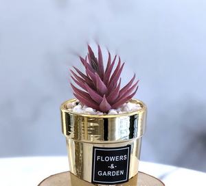Mini Simulation Plantes Succulentes Table En Pot Décoratif Plantes De <span class=keywords><strong>Cactus</strong></span> Artificielles VP-HL004 - Product Image 6