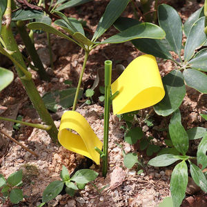 飞行昆虫粘性桩捕虫器桩捕捉贴纸植物真菌Gnat害虫陷阱 - Product Image 4