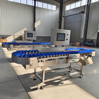 Hoge Efficiëntie Automatische Gewicht Sortering Schaal Sorteren En Sorteren Machine Voor Kleine En Grote Vruchten