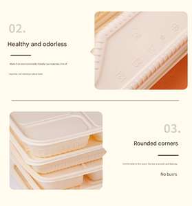 Productos Ecológicos de Pulpa, Modernos, de Lujo, Personalizables, Irrompibles, Contenedores de Alimentos de 2 y 3 Compartimentos, Lonchera Desechable - Product Image 4