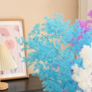 Di lusso di lusso in stile nordico matrimonio e decorazione per la casa di fiori eterni pinglai pino vero ramoscello piante conservate essiccate - Product Image 6