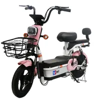 Bicicleta Eléctrica de 2 Plazas con Marco de Acero, Motor sin Escobillas de 500W, 3 Velocidades, Suspensión Trasera, Batería de Plomo-Ácido de 48V, Ruedas de 14 Pulgadas, 50 km/h, Sensor, Ligera