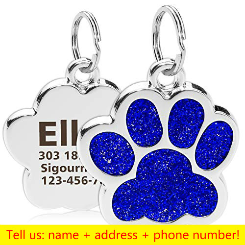 pet tag 6