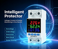 Protecteur de tension électronique monophasé réglable AC, protection contre les surtensions, les sous-tensions et les surintensités, capacité 1 KVA, LED