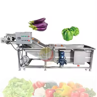 Machine polyvalente de nettoyage de légumes à bulles à haut rendement et laveuse de fruits pour usage industriel