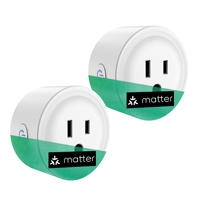 Prise intelligente Matter Smart Plug avec surveillance de la consommation d'énergie, minuterie, contrôle via Alexa/Google Home, application de contrôle à distance pour appareils électroménagers