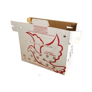 Caja de envío con ventilación para palomas, pollo, aves - Product Image 6