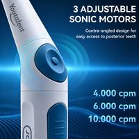 Activador de Limas Dentales Eléctrico Youtodent, Batería Recargable Extraíble, Diseño Ergonómico, 3 Opciones de Velocidad, Tratamiento de Conducto Radicular