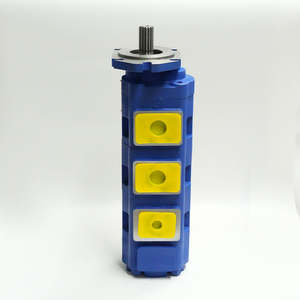 Bomba hidráulica de grúa Zoomlion QY30 modelo 1010000484 piezas de maquinaria de construcción genuinas hechas de hierro plástico y hierro fundido - Product Image 2