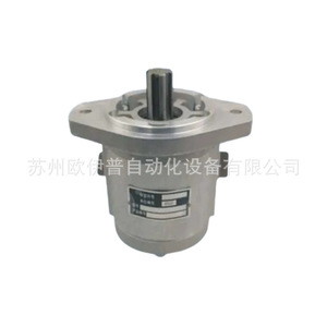 Pompe de direction assistée Liwei Qc1613 4dxzy Yt, pompe à engrenages haute pression, arbre vertical, rotation avant-arrière - Product Image 2